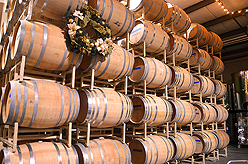 QUANTIVATE HOLIDAY PARTY